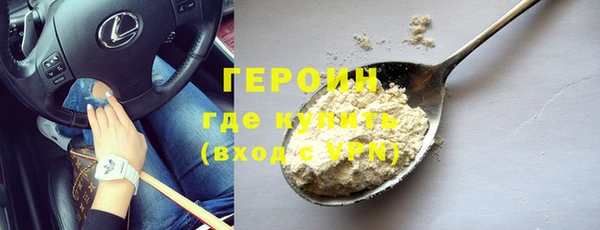 прущие грибы Заводоуковск