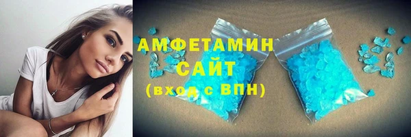 прущие грибы Заводоуковск