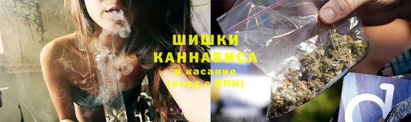 прущие грибы Заводоуковск