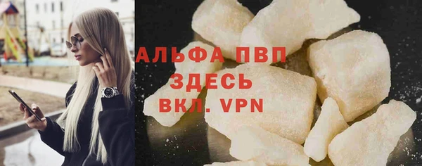 прущие грибы Заводоуковск