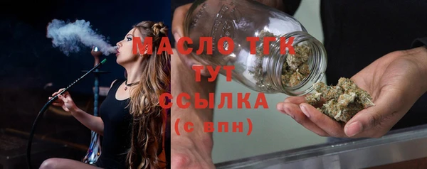 прущие грибы Заводоуковск