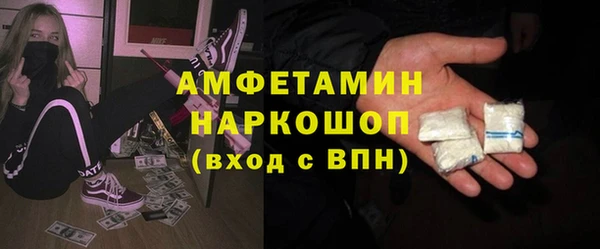 прущие грибы Заводоуковск