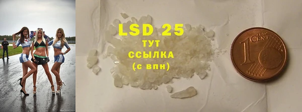 ГАЛЛЮЦИНОГЕННЫЕ ГРИБЫ Заволжье