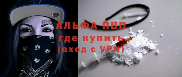 ГАЛЛЮЦИНОГЕННЫЕ ГРИБЫ Заволжье