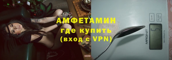 прущие грибы Заводоуковск