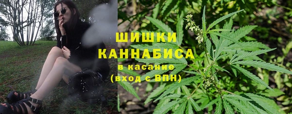 прущие грибы Заводоуковск
