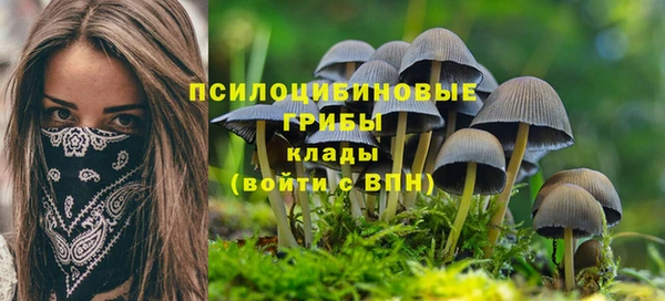 твердый Заволжск