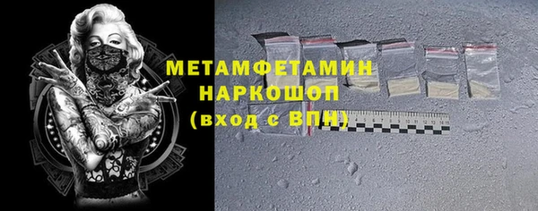 прущие грибы Заводоуковск