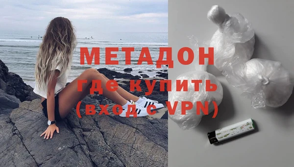 прущие грибы Заводоуковск