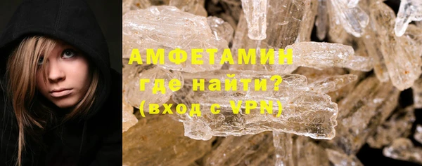 ГАЛЛЮЦИНОГЕННЫЕ ГРИБЫ Заволжье